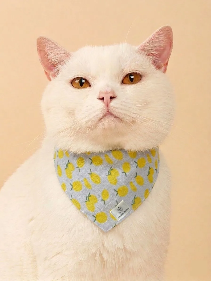 Bandana pour chaton Citronnade