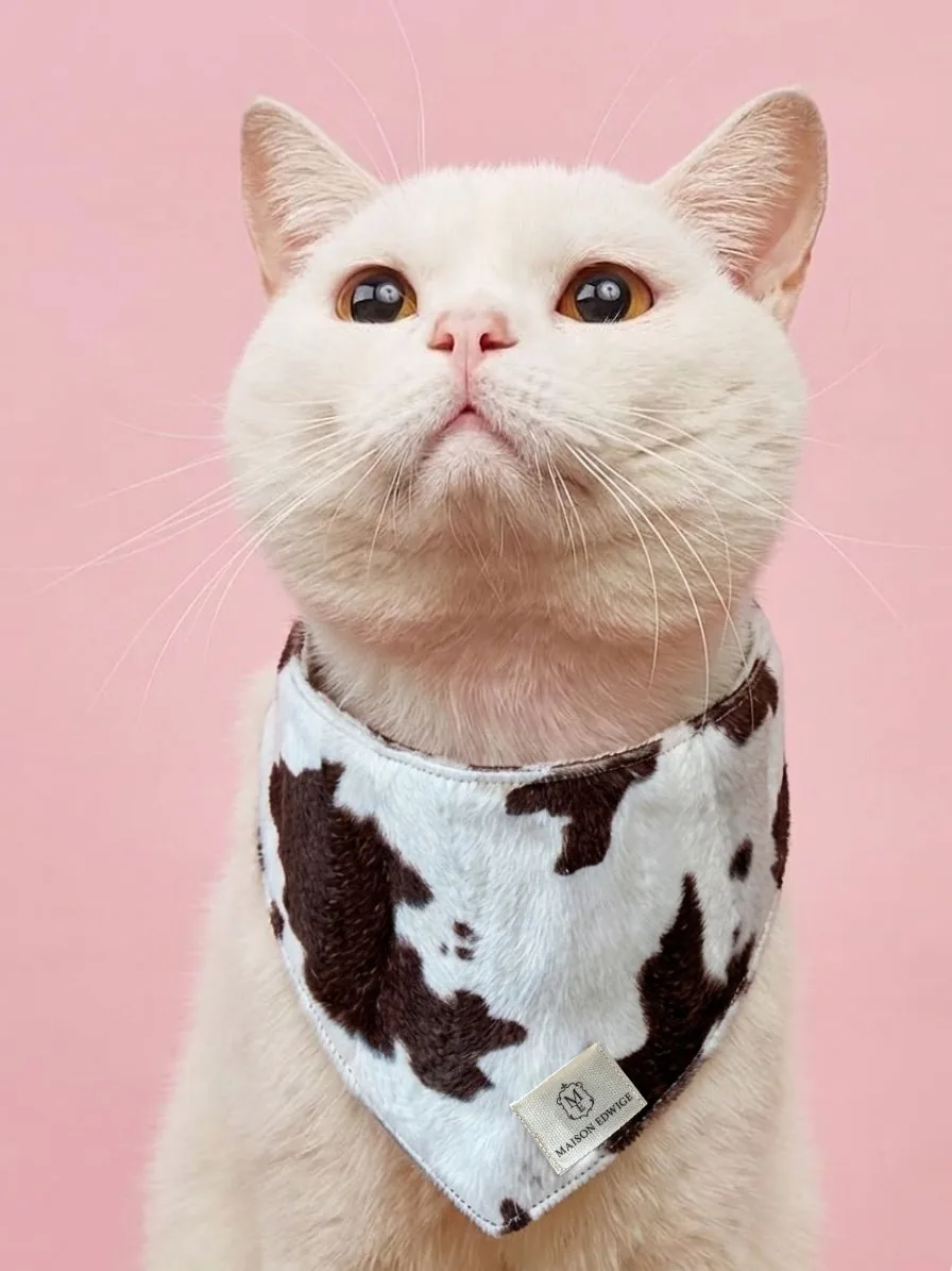 Bandana pour chaton Cow-boy