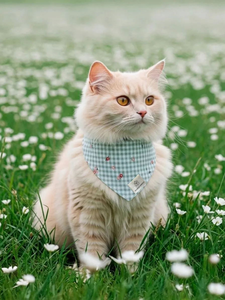 Bandana pour chaton Pomme d'amour