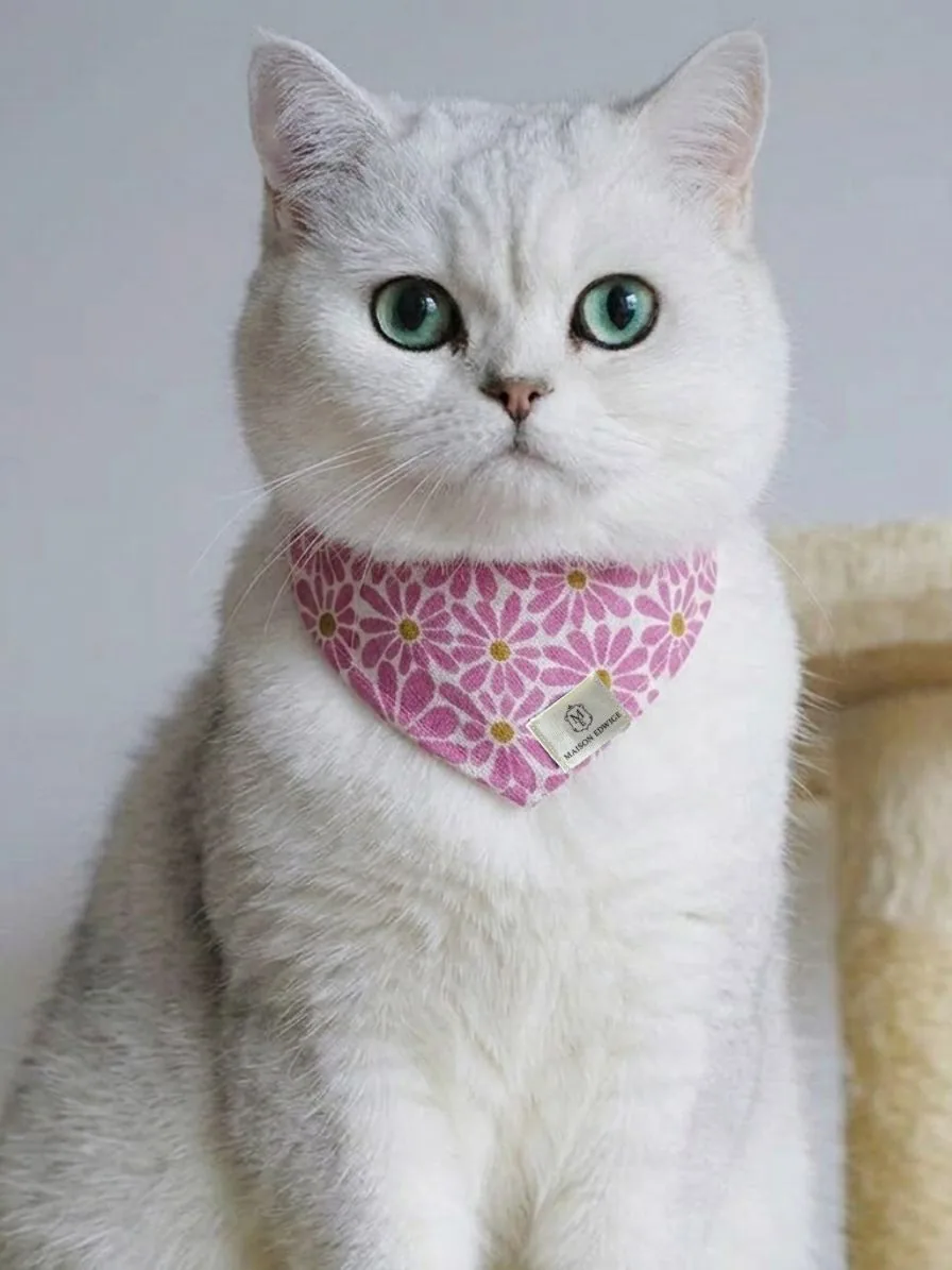 Bandana pour chaton Power Flower